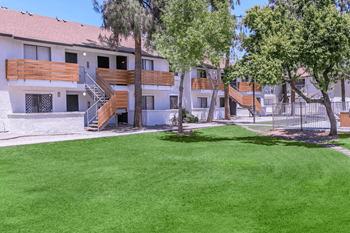 Green lawn